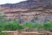 Thousands of years ago, Kim, Dogon people lived in cliff dwellings like these to be safe from hungry animals